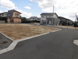 1号地